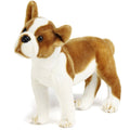 Bobby the Boston Terrier Boxer 15" Plush — Iron-Chin Champion Story