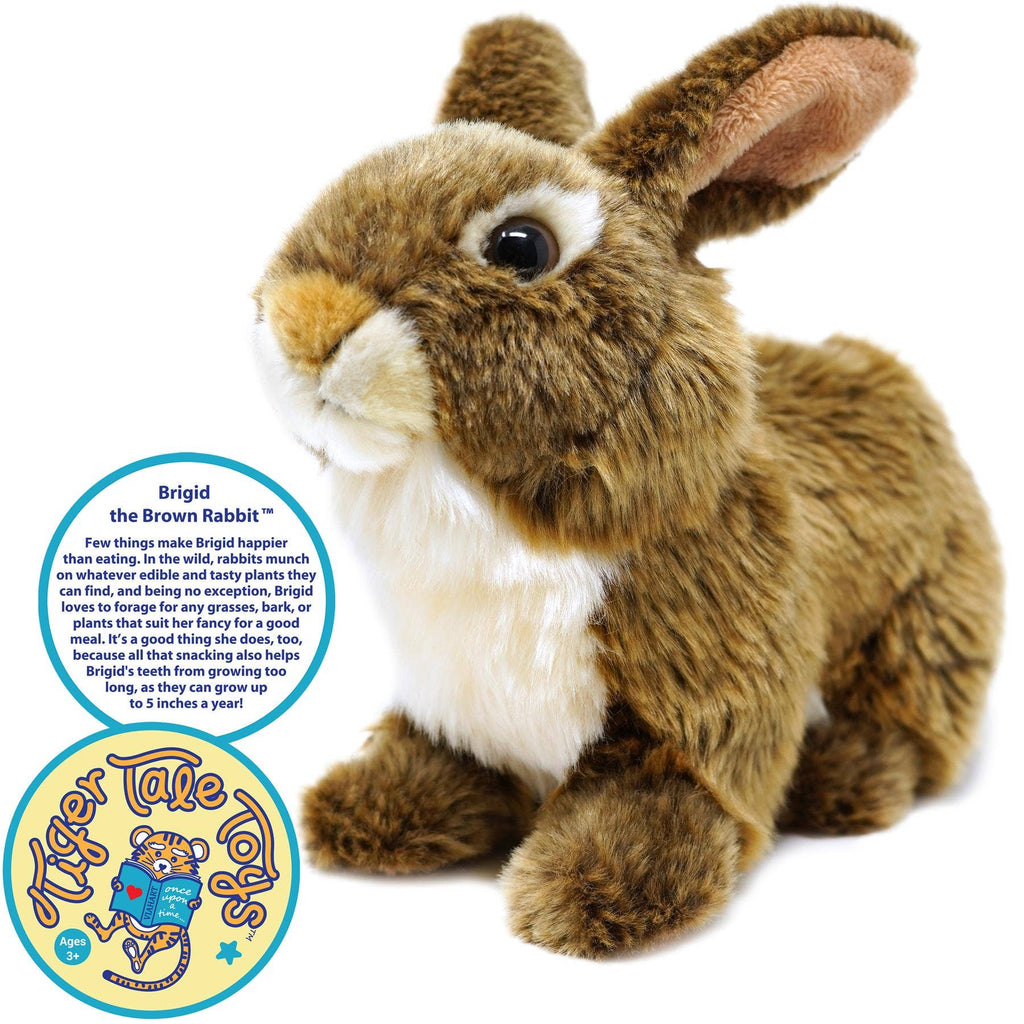 Brigid the Brown Rabbit 10" Plush — Forager Story